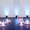 Connector_Dance_Fest2019