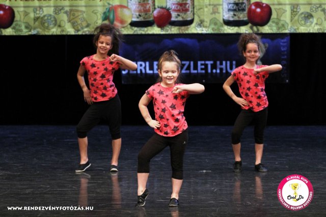 VIII. Klauzál Kupa, 2012. november 14., Nagytétény