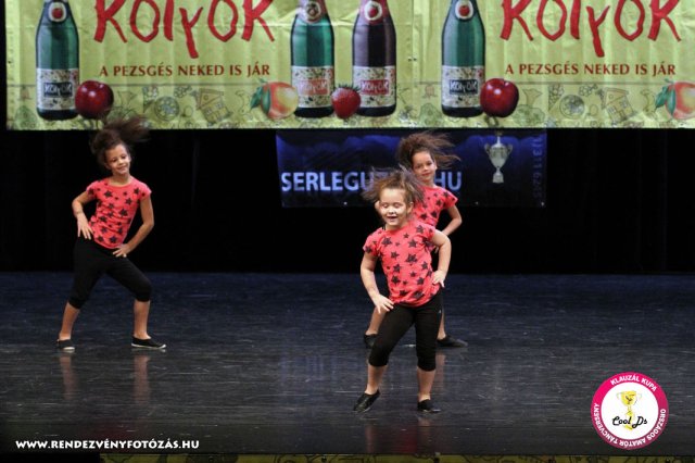 VIII. Klauzál Kupa, 2012. november 14., Nagytétény