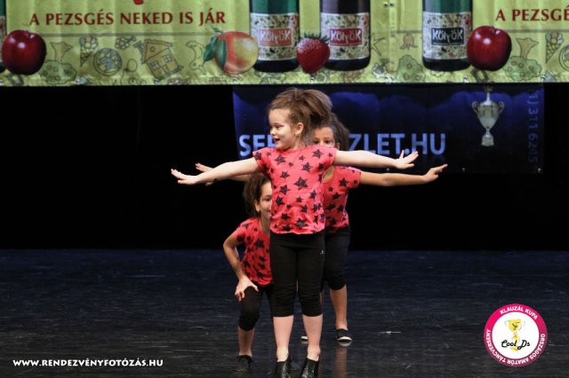 VIII. Klauzál Kupa, 2012. november 14., Nagytétény