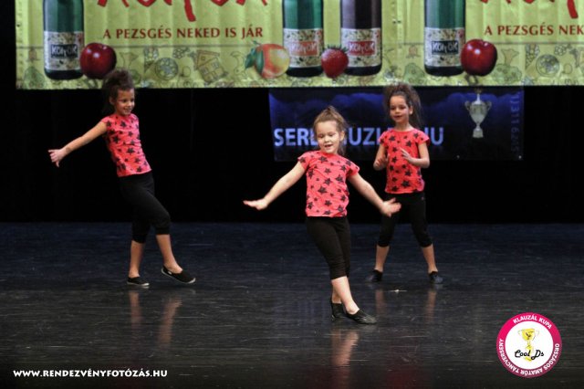 VIII. Klauzál Kupa, 2012. november 14., Nagytétény