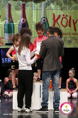 VIII. Klauzál Kupa, 2012. november 14., Nagytétény