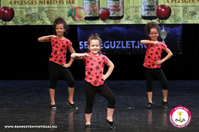 VIII. Klauzál Kupa, 2012. november 14., Nagytétény