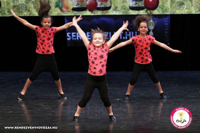 VIII. Klauzál Kupa, 2012. november 14., Nagytétény