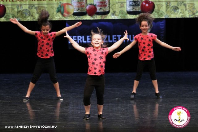 VIII. Klauzál Kupa, 2012. november 14., Nagytétény