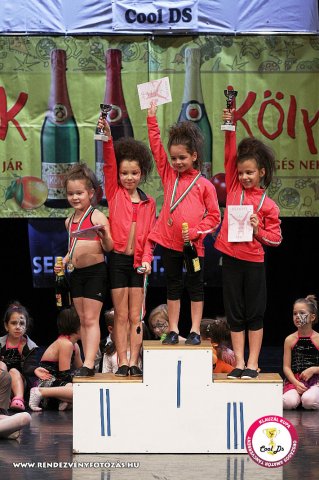 VIII. Klauzál Kupa, 2012. november 14., Nagytétény