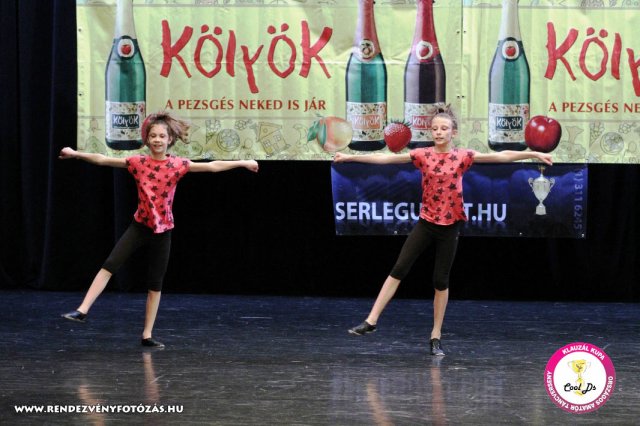 VIII. Klauzál Kupa, 2012. november 14., Nagytétény