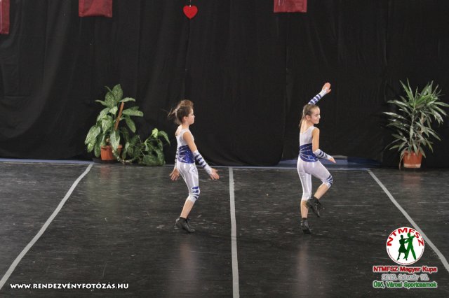 NTMFSZ - Magyar Kupa