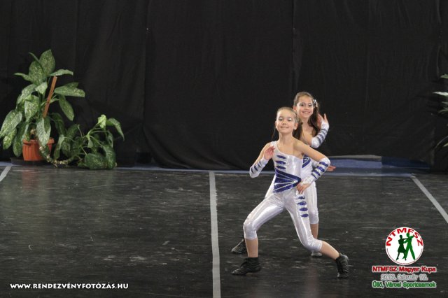 NTMFSZ - Magyar Kupa