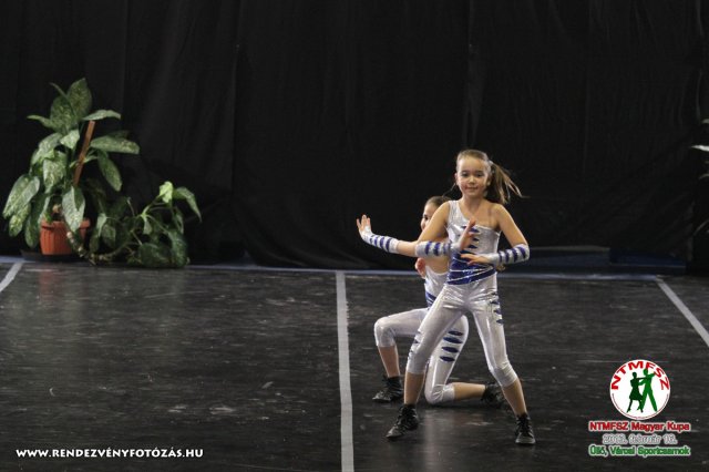 NTMFSZ - Magyar Kupa