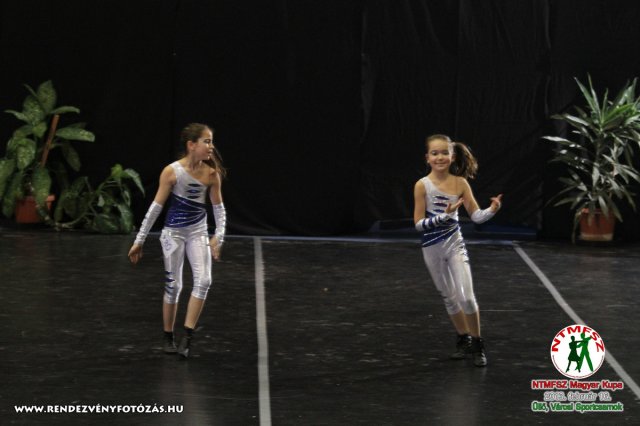 NTMFSZ - Magyar Kupa