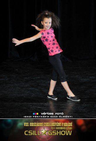 VIII. Országos Csillagfény Parádé, 2012. november 4., Paks