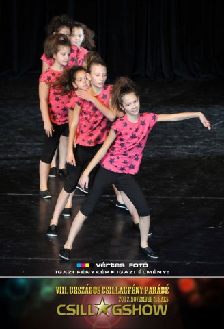 VIII. Országos Csillagfény Parádé, 2012. november 4., Paks