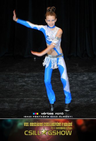 VIII. Országos Csillagfény Parádé, 2012. november 4., Paks