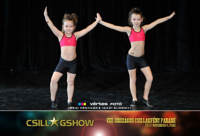 VIII. Országos Csillagfény Parádé, 2012. november 4., Paks