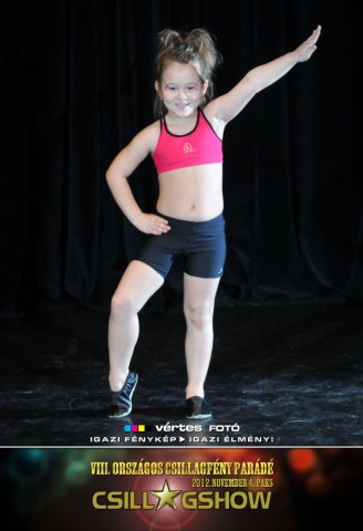 VIII. Országos Csillagfény Parádé, 2012. november 4., Paks