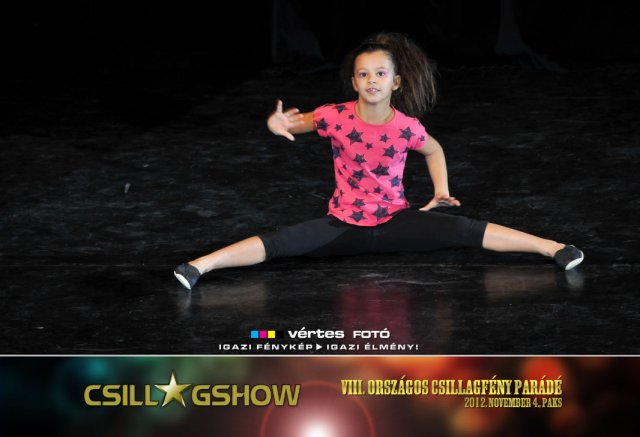 VIII. Országos Csillagfény Parádé, 2012. november 4., Paks