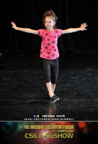 VIII. Országos Csillagfény Parádé, 2012. november 4., Paks