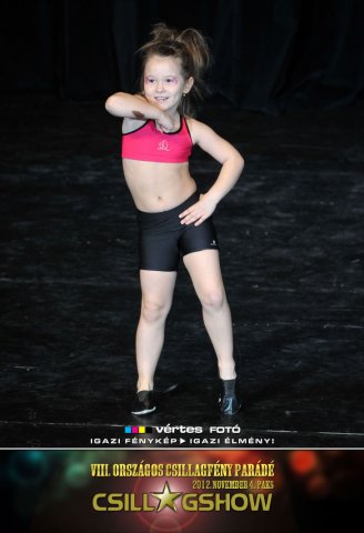 VIII. Országos Csillagfény Parádé, 2012. november 4., Paks