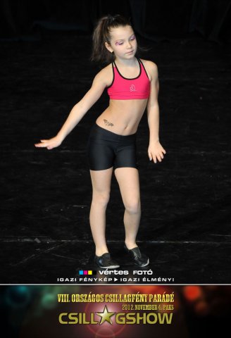 VIII. Országos Csillagfény Parádé, 2012. november 4., Paks