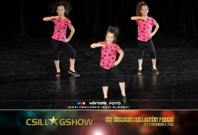VIII. Országos Csillagfény Parádé, 2012. november 4., Paks