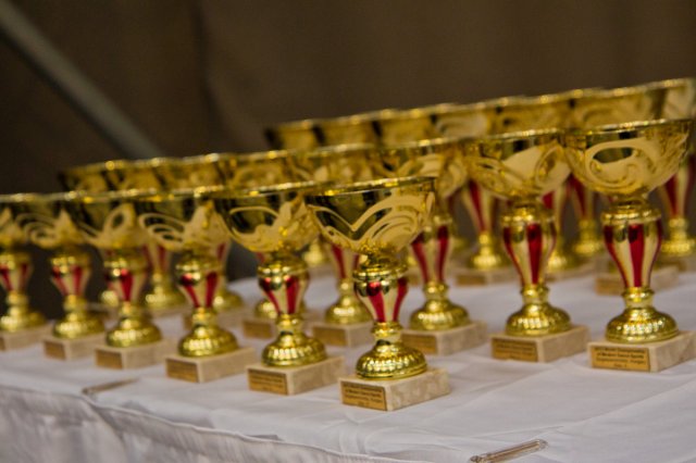 Világbajnokság 2013 Szigetszentmiklós