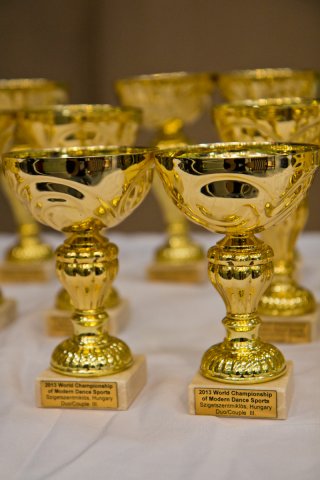 Világbajnokság 2013 Szigetszentmiklós