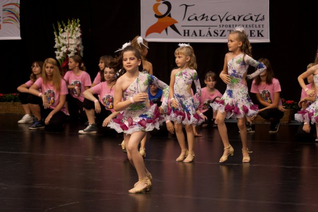 Világbajnokság 2013 Szigetszentmiklós