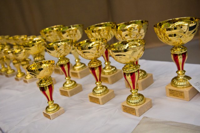 Világbajnokság 2013 Szigetszentmiklós