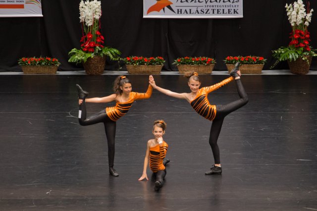 Világbajnokság 2013 Szigetszentmiklós