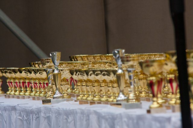 Világbajnokság 2013 Szigetszentmiklós