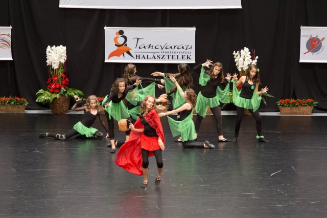 Világbajnokság 2013 Szigetszentmiklós